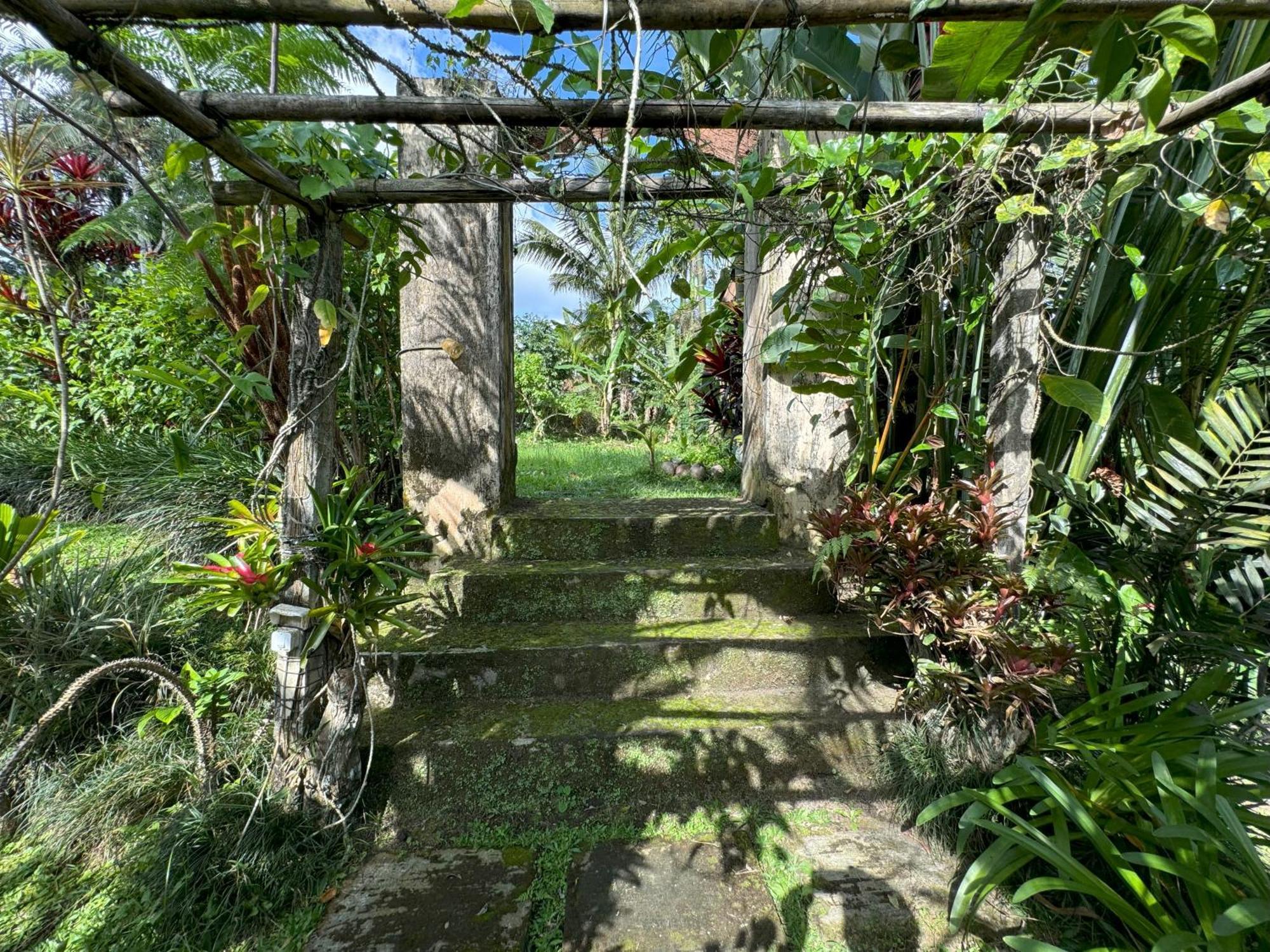 Dewa Jati Cottages Gianyar  Exterior photo