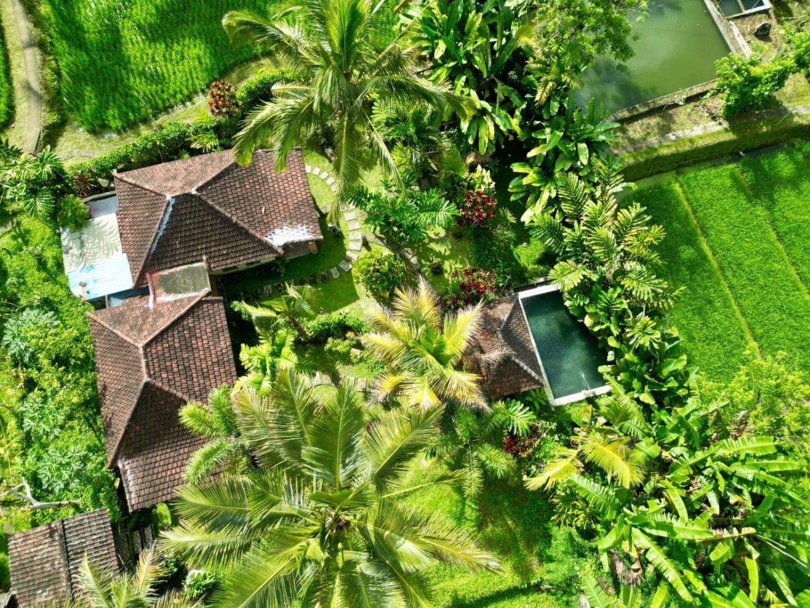 Dewa Jati Cottages Gianyar  Exterior photo