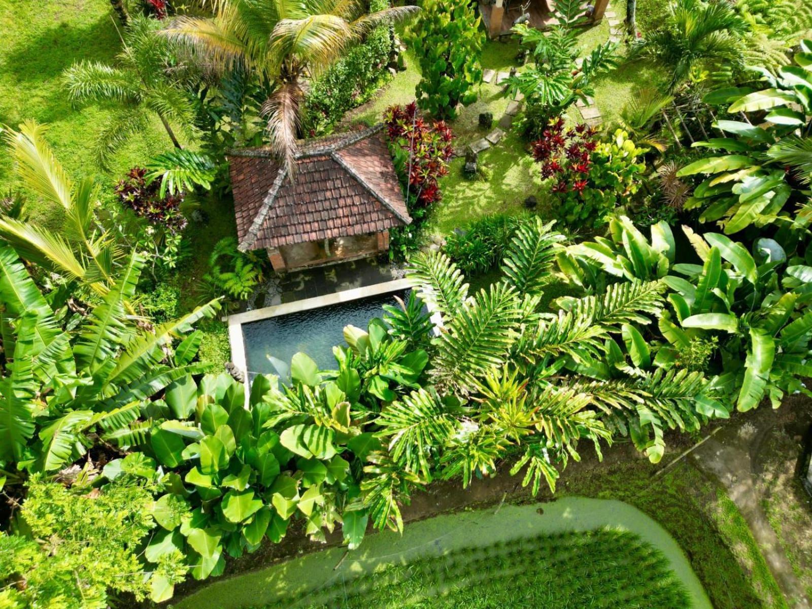 Dewa Jati Cottages Gianyar  Exterior photo