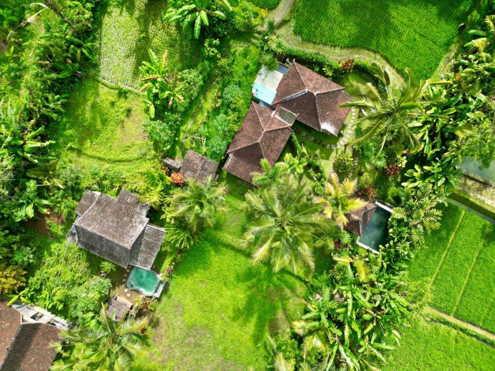 Dewa Jati Cottages Gianyar  Exterior photo
